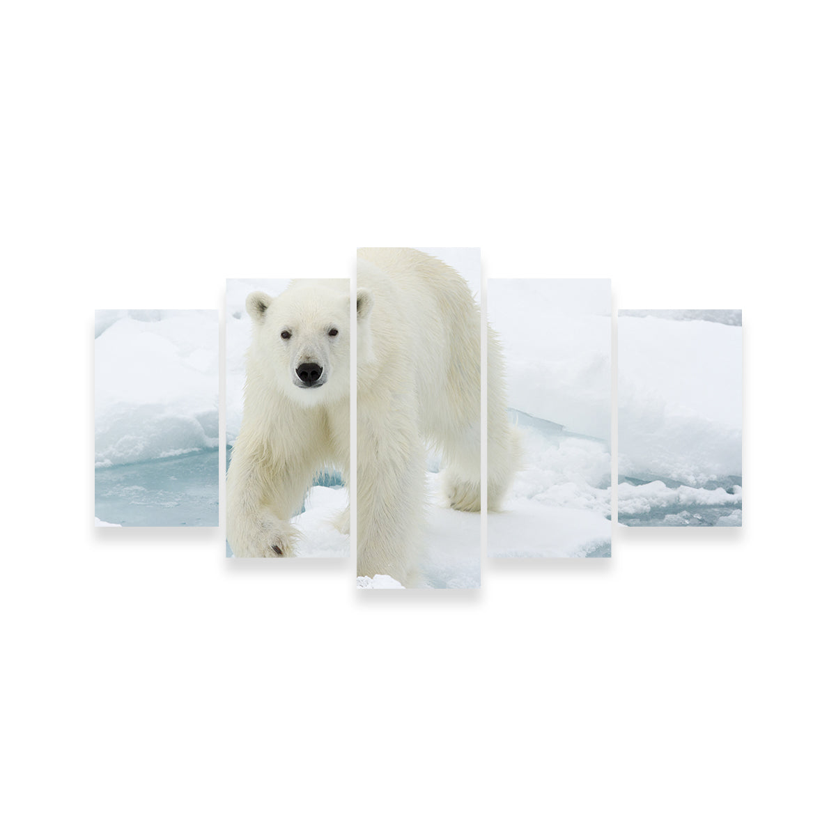 Exquisite Polar Bear Wall Art for Stunning Home Decor