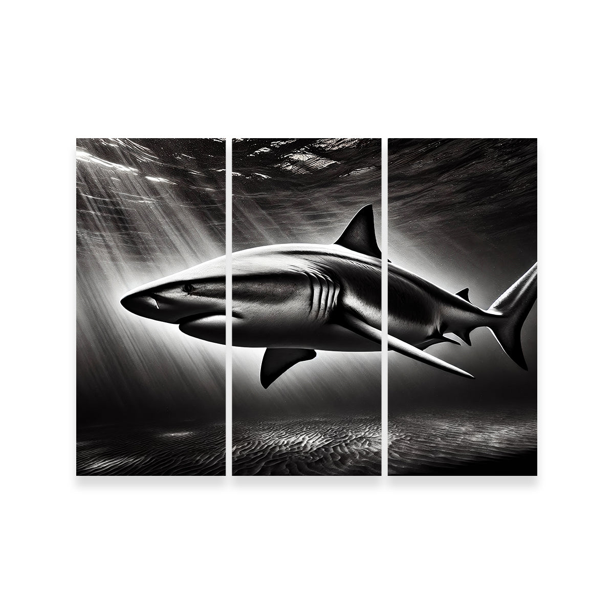 Stunning Bull Shark Grayscale Wall Art for Home Decor