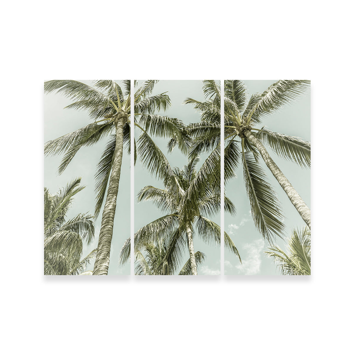 Exquisite Vintage Palm Trees Wall Art by Melanie Viola
