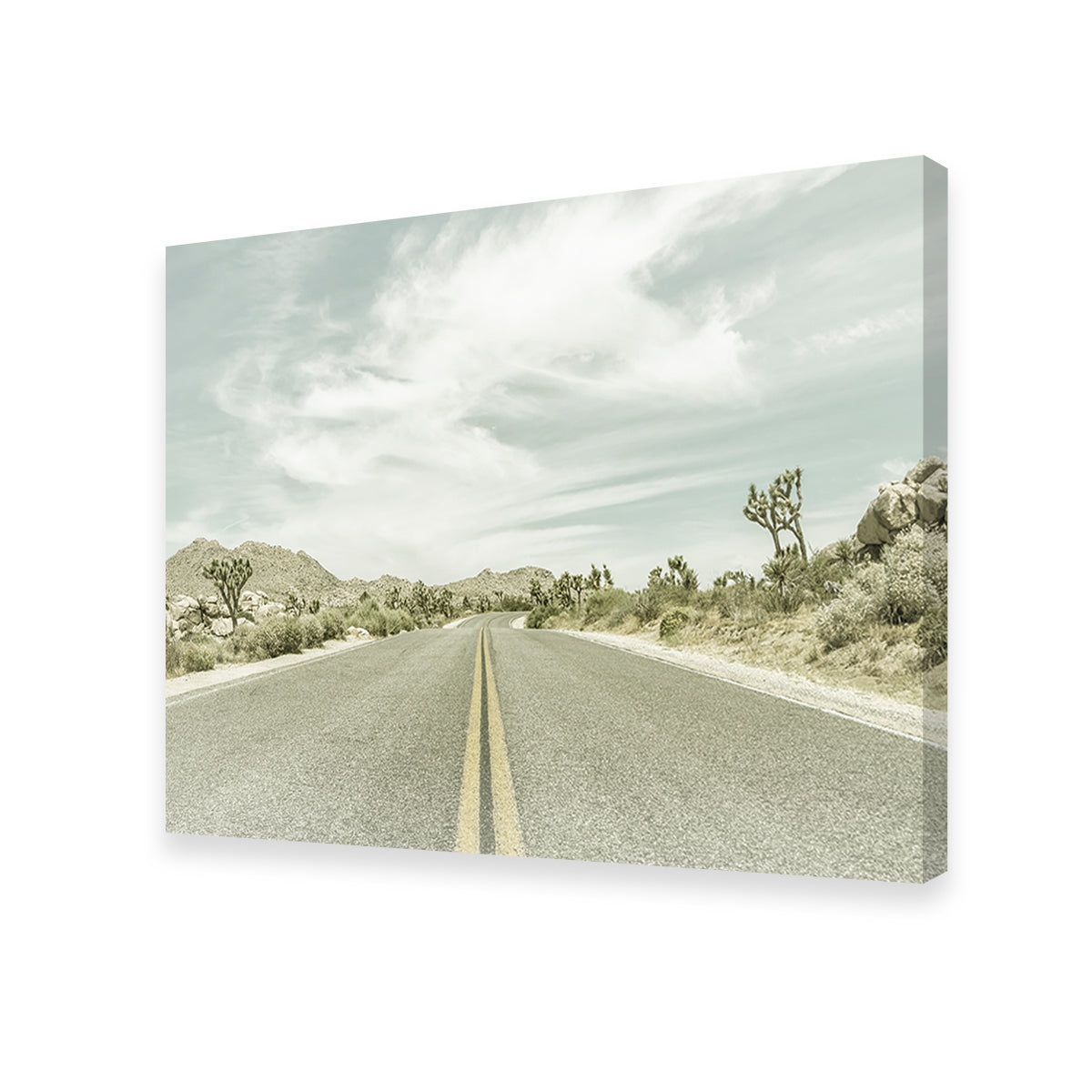 Stunning Joshua Trees Park Boulevard Wall Art by Melanie Viola