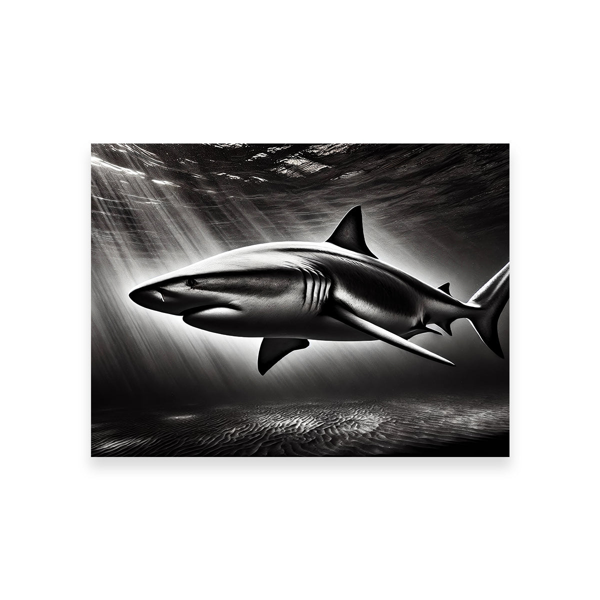 Stunning Bull Shark Grayscale Wall Art for Home Decor