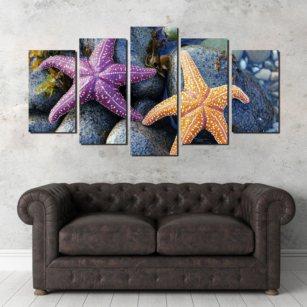 Vibrant Colorful Starfishes Wall Art for Stunning Decor