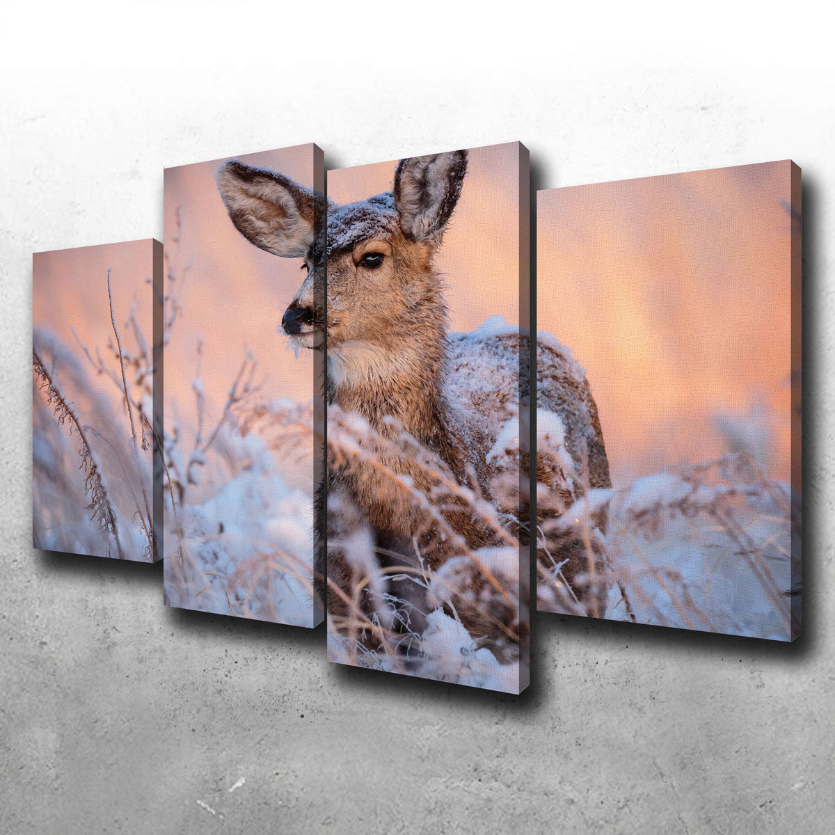 Stunning Colorado Doe Wall Art for Your Home Decor