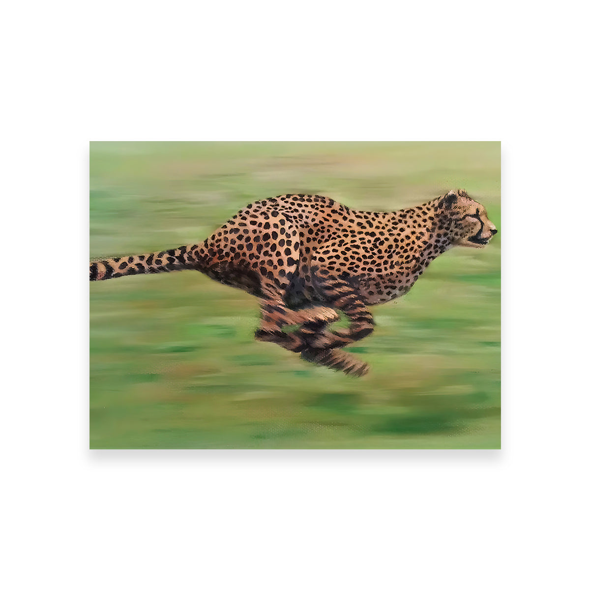 Fast Forward Wall Art by Patricia Jaggie - Premium Museum Quality Canvas Art