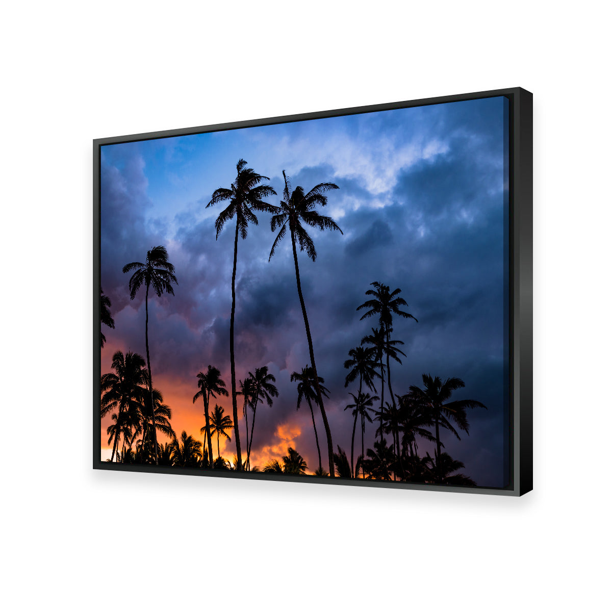Stunning Fire in the Sky Wall Art by Lucas Moore