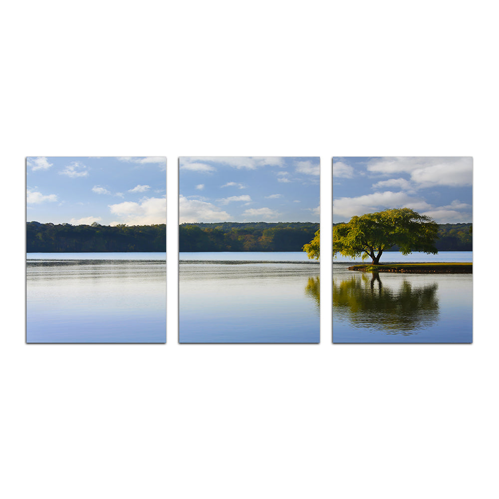Stunning Willow Tree On The Tennessee River Wall Art for Your Home Decor