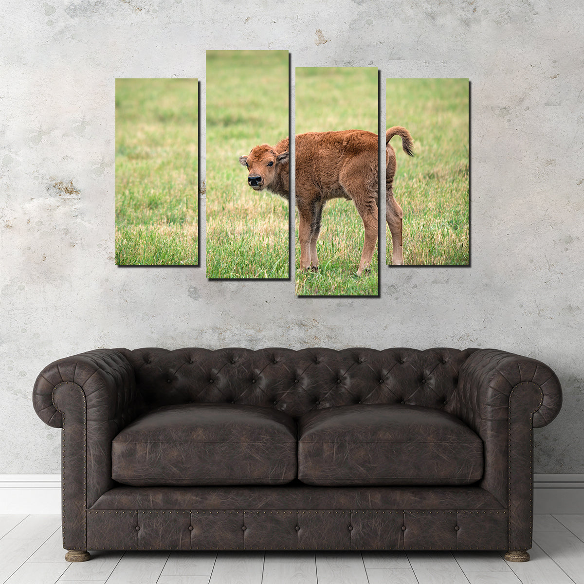 Exquisite Buffalo Calf Wall Art for Home Decor