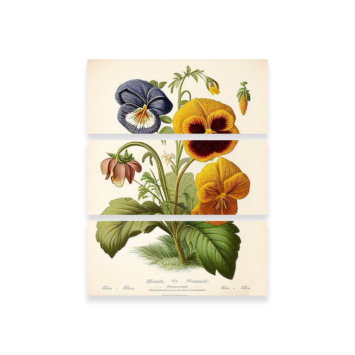 Exquisite Vintage Botanical Print Series 9 Wall Art by Jennifer Hotai