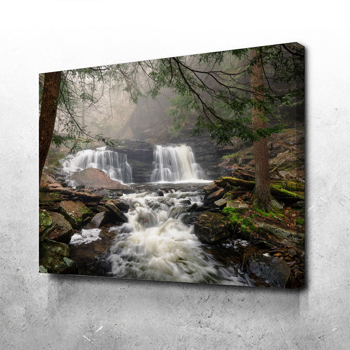 Fairy Tail Wall Art - Stunning Canvas Prints by Shaun Mayer