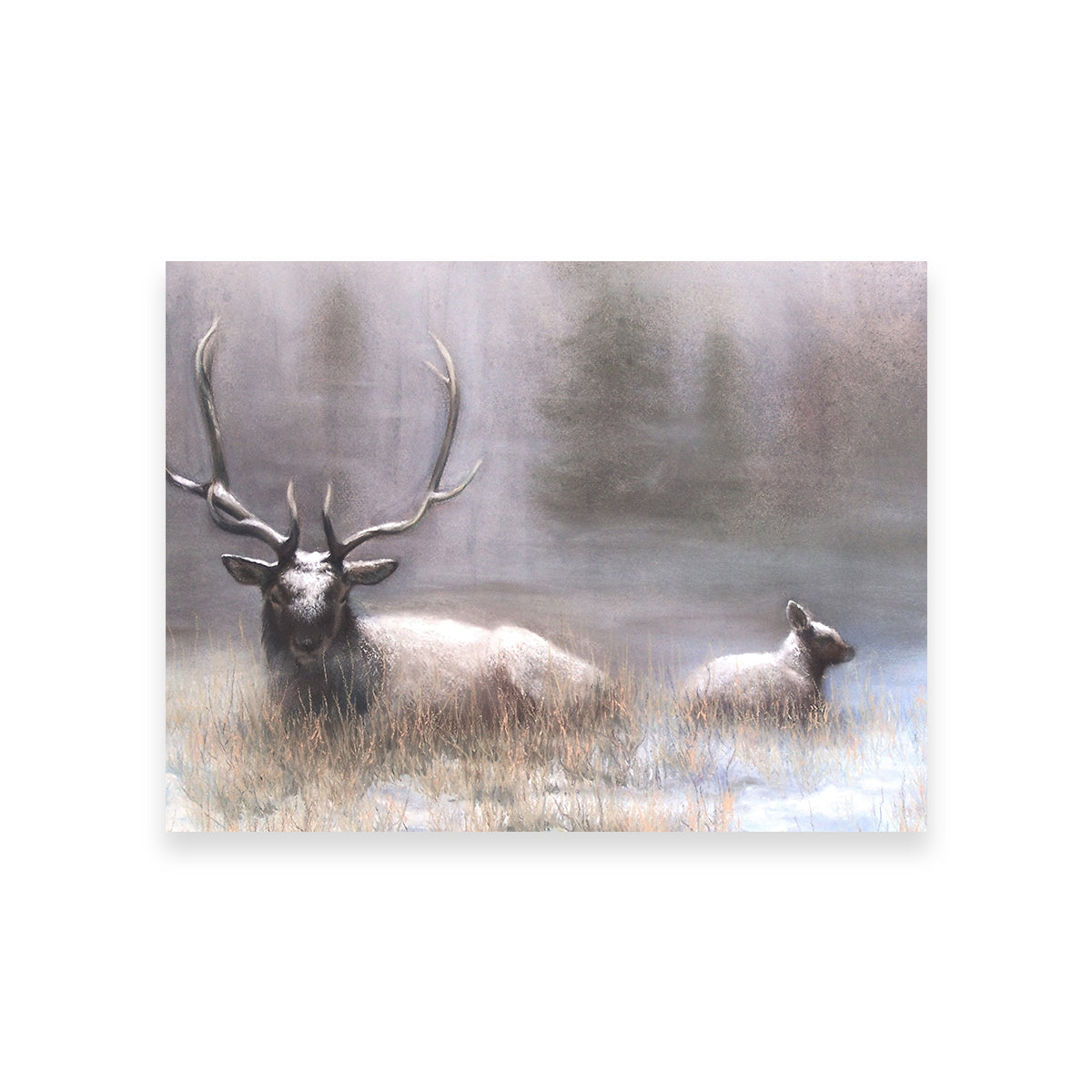 Exquisite Bull Elk & Calf Wall Art by Patricia Jaggie