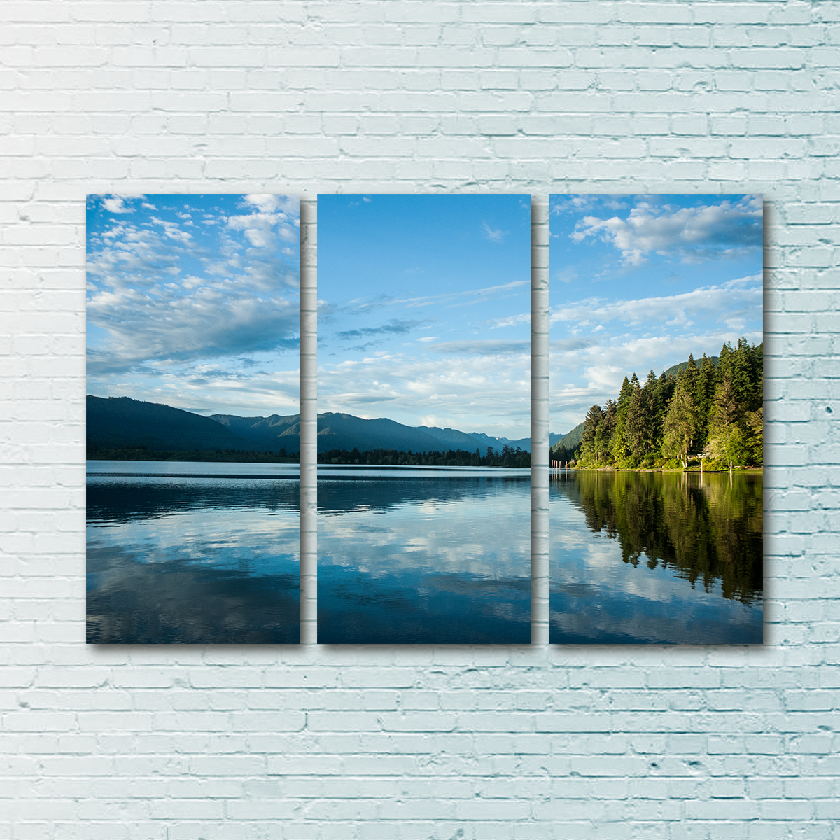 Stunning Lake Quinault Wall Art by Kyle Sherry