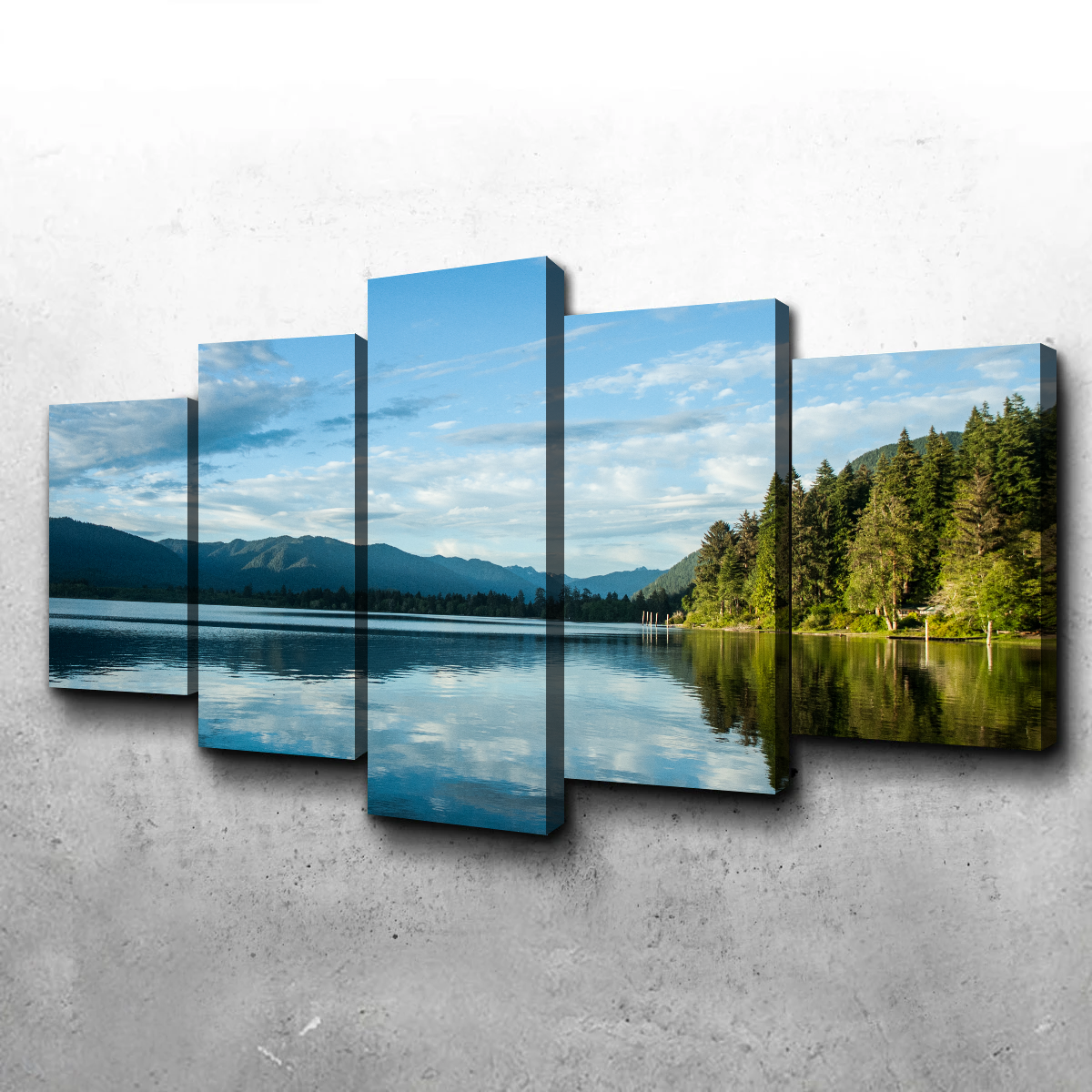 Stunning Lake Quinault Wall Art by Kyle Sherry