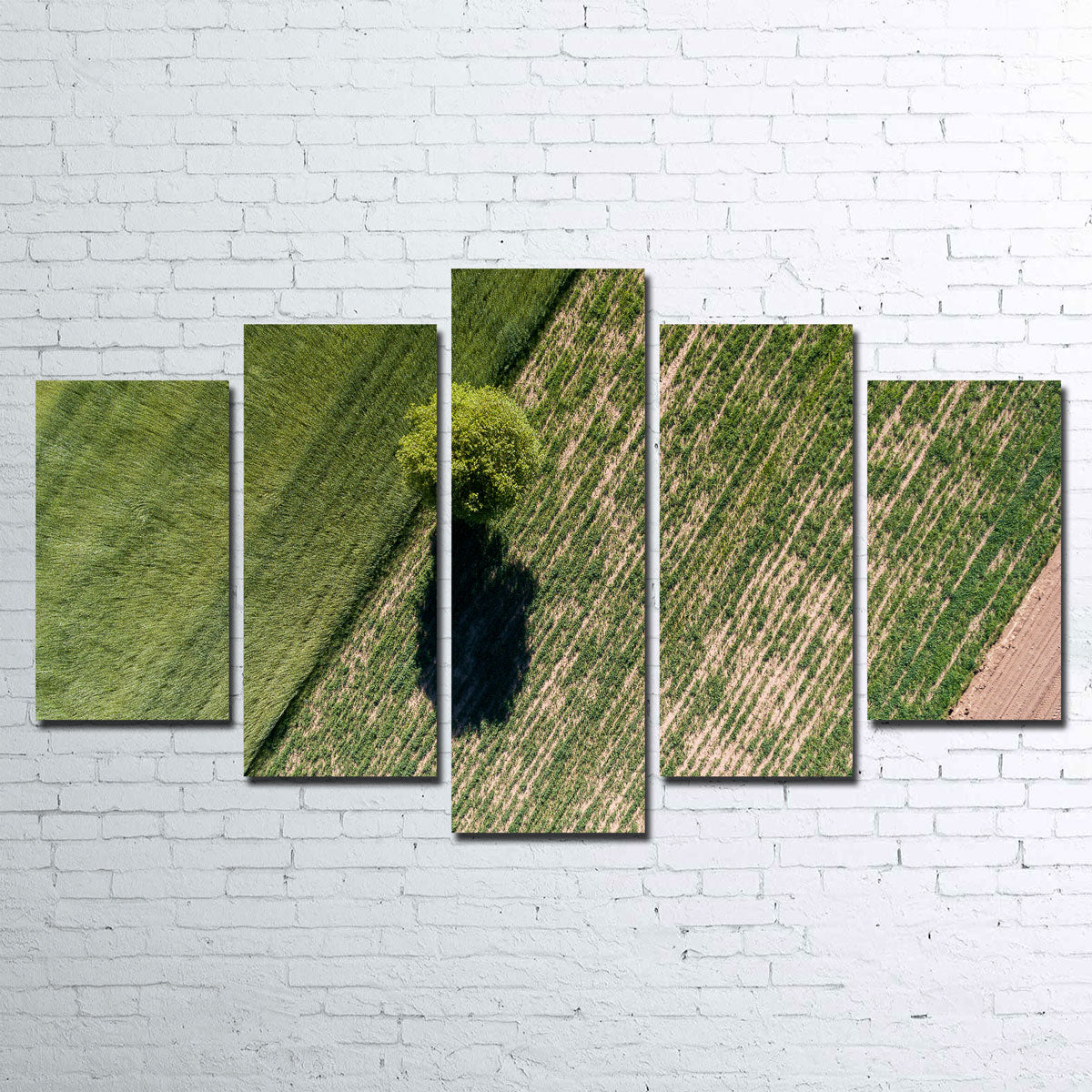 Stunning Tree Shadow Wall Art by Karolis Janulis