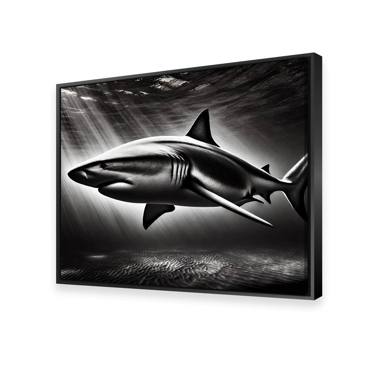 Stunning Bull Shark Grayscale Wall Art for Home Decor