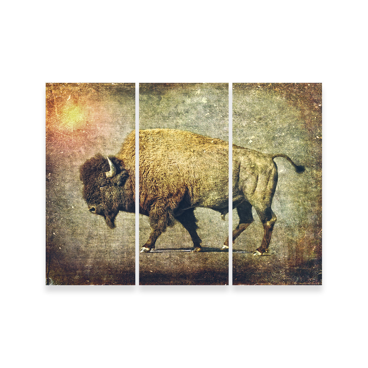 Exquisite Buffalo Art Wall Art for Home Decor