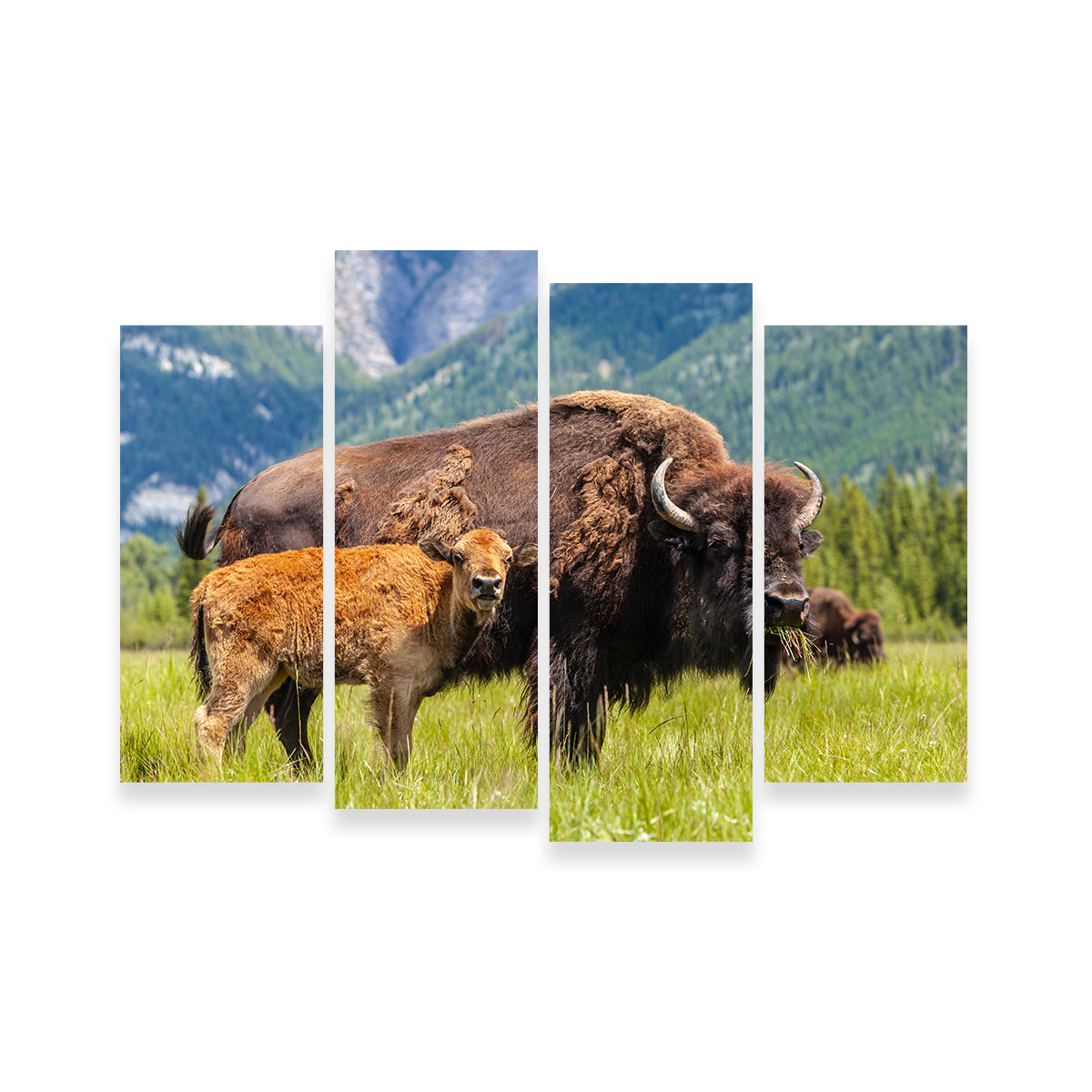 Stunning Buffalo with Calf Wall Art for Your Home Decor