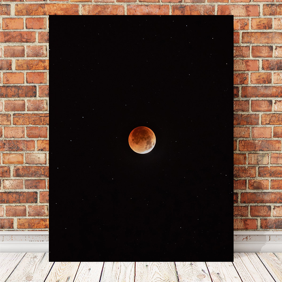 Enchanting Moon in the Shadow Wall Art by Sofia Leite Fonseca