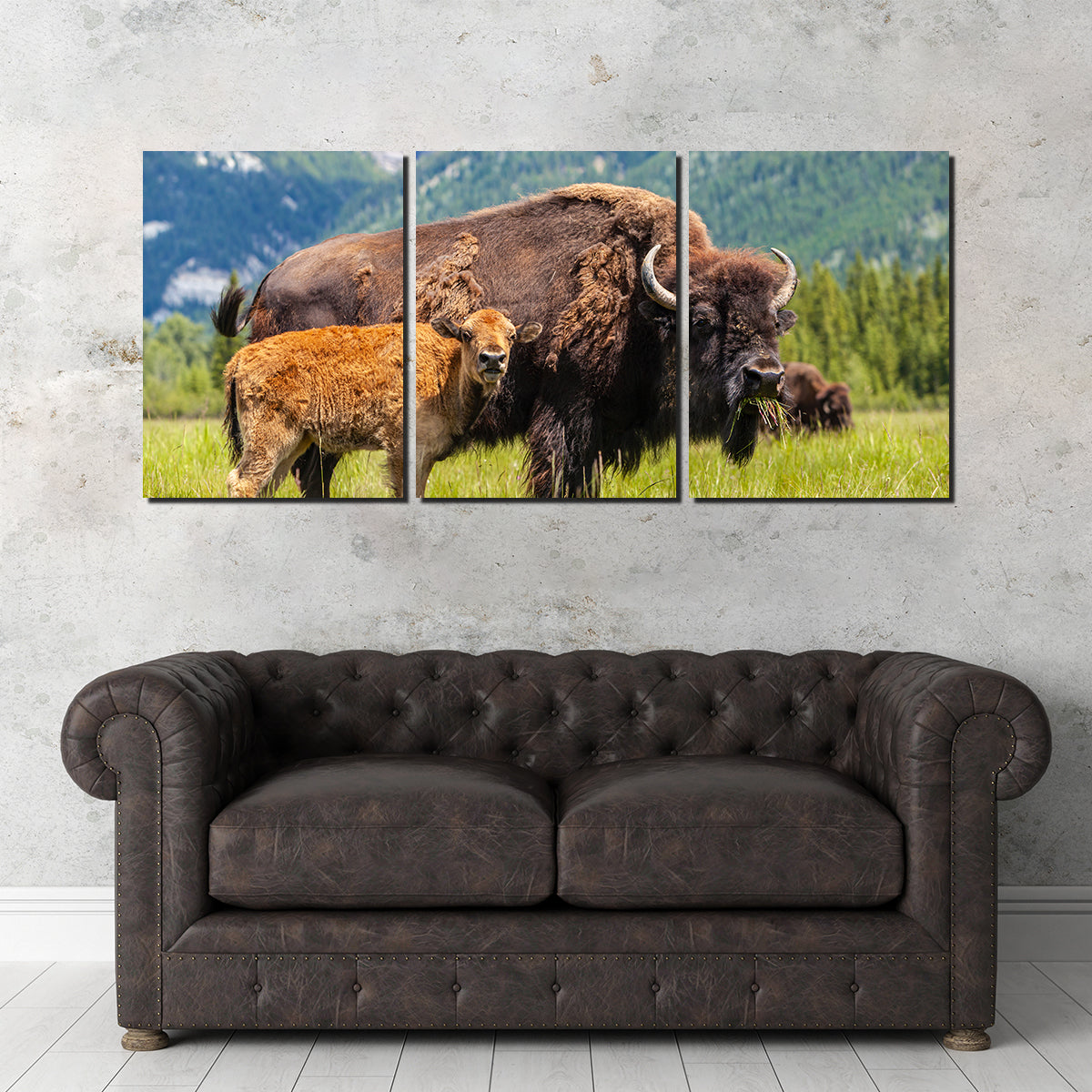 Stunning Buffalo with Calf Wall Art for Your Home Decor