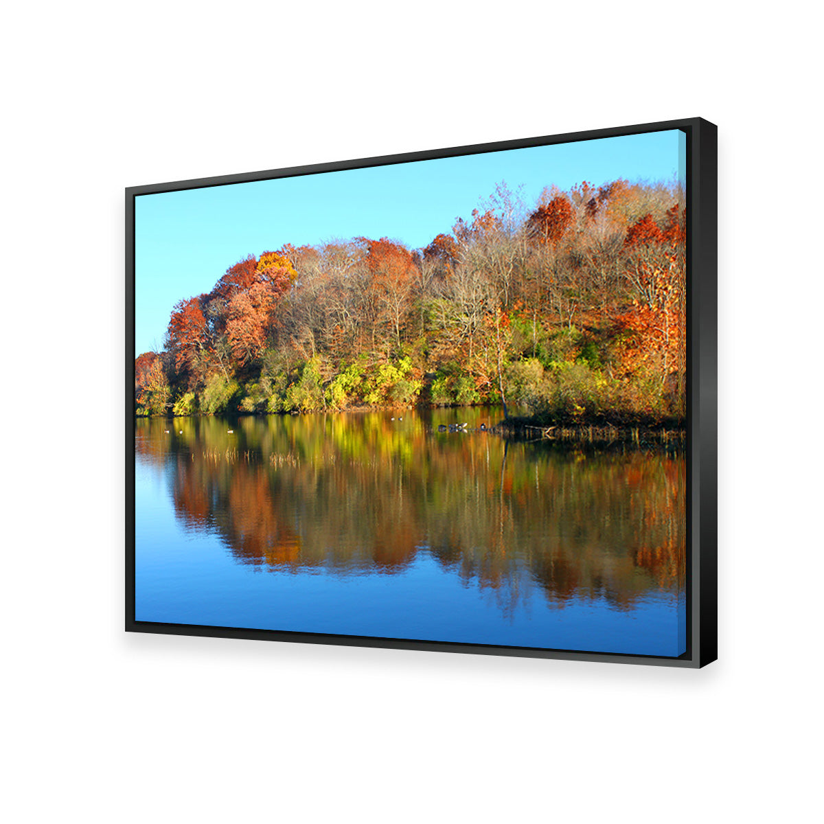 Stunning Kickapoo State Park Wall Art for Your Home Decor