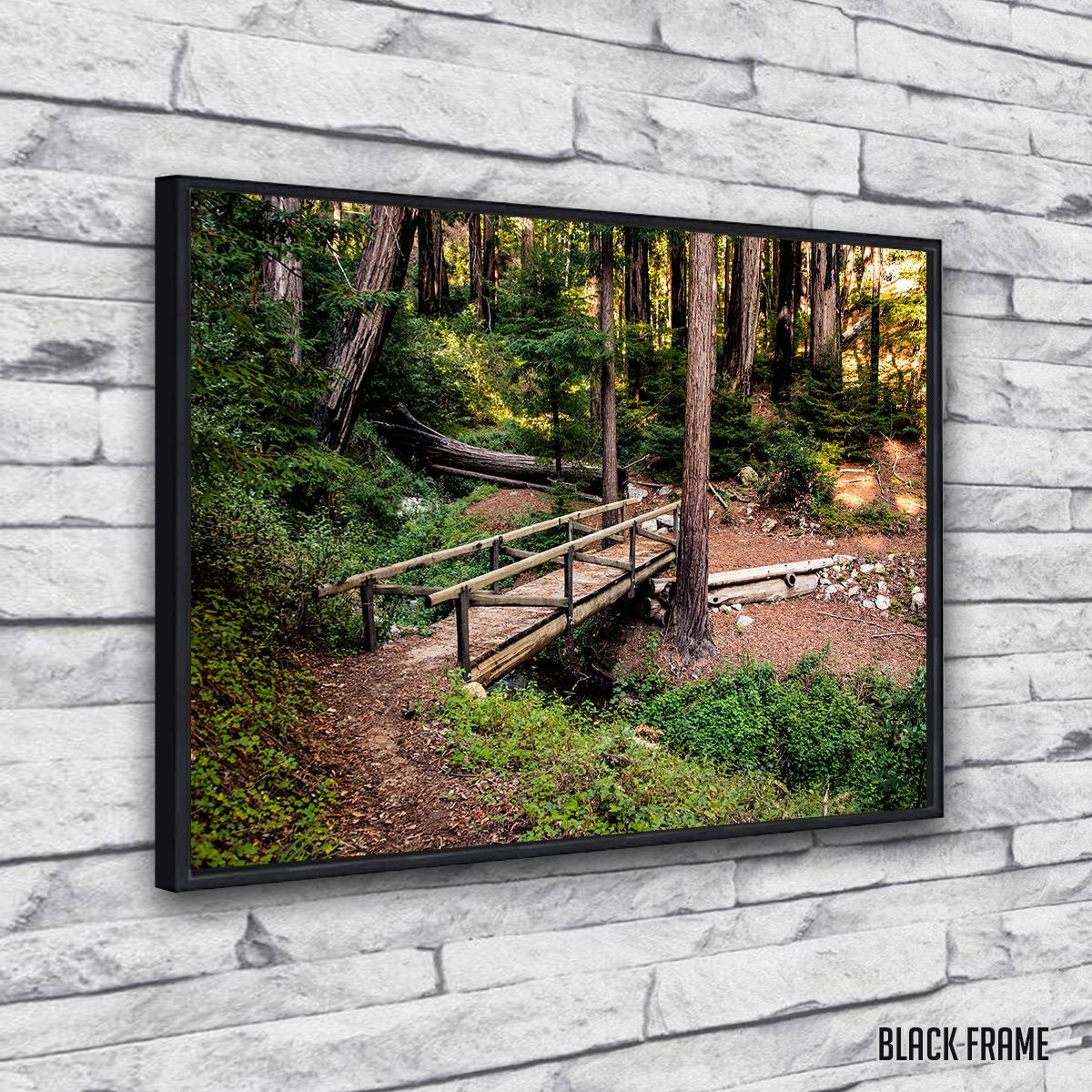 Stunning Ewoldsen Loop Bridge Wall Art by Kyle Sherry