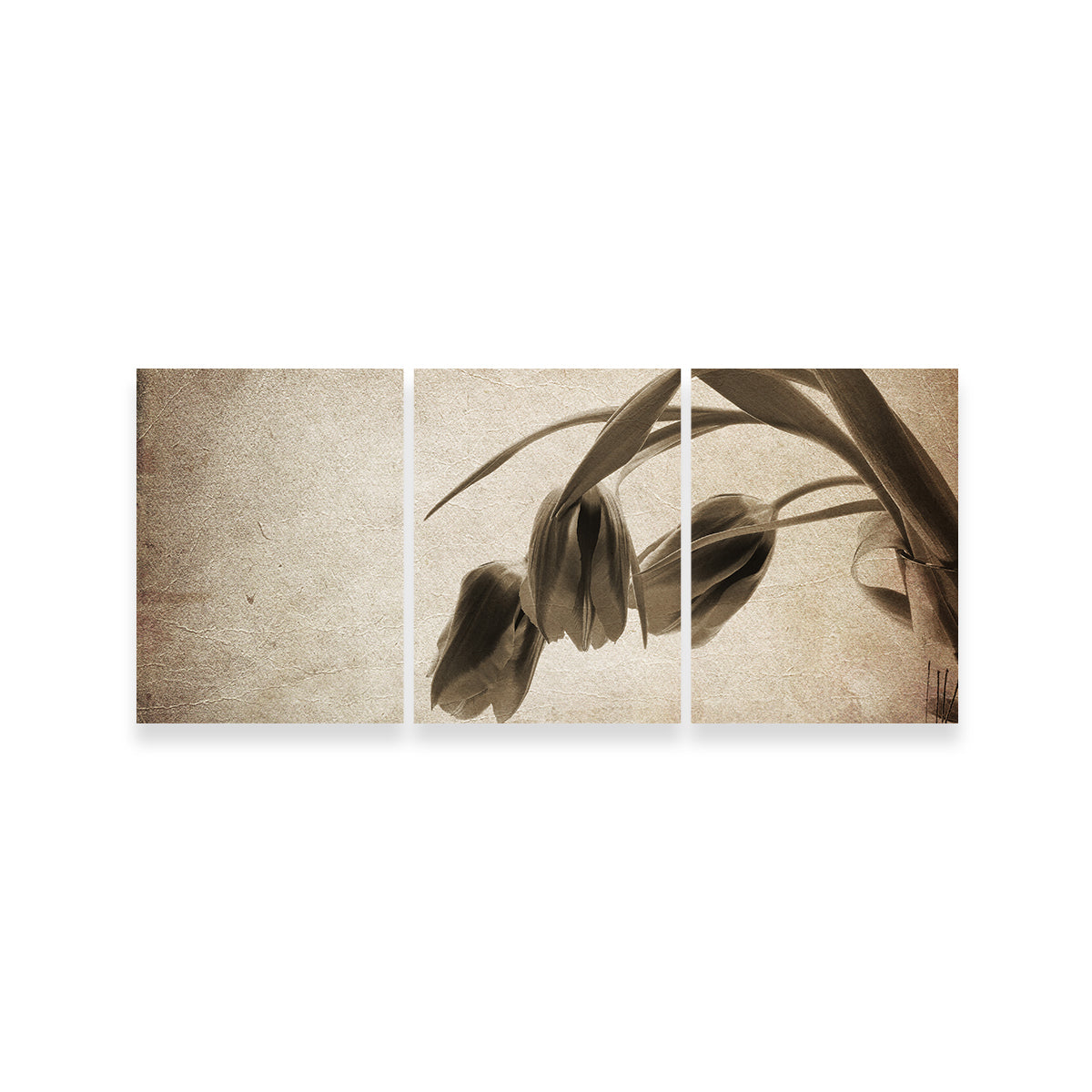 Exquisite Vintage Flowers Wall Art for Timeless Decor