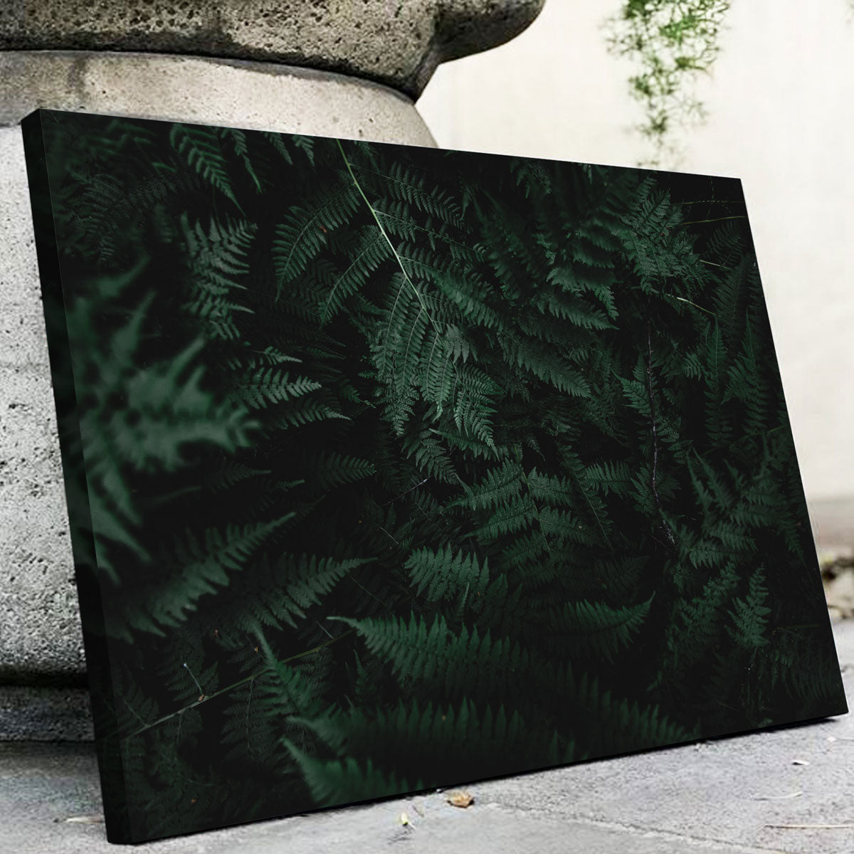 Stunning Ferns Wall Art by Lucas Moore