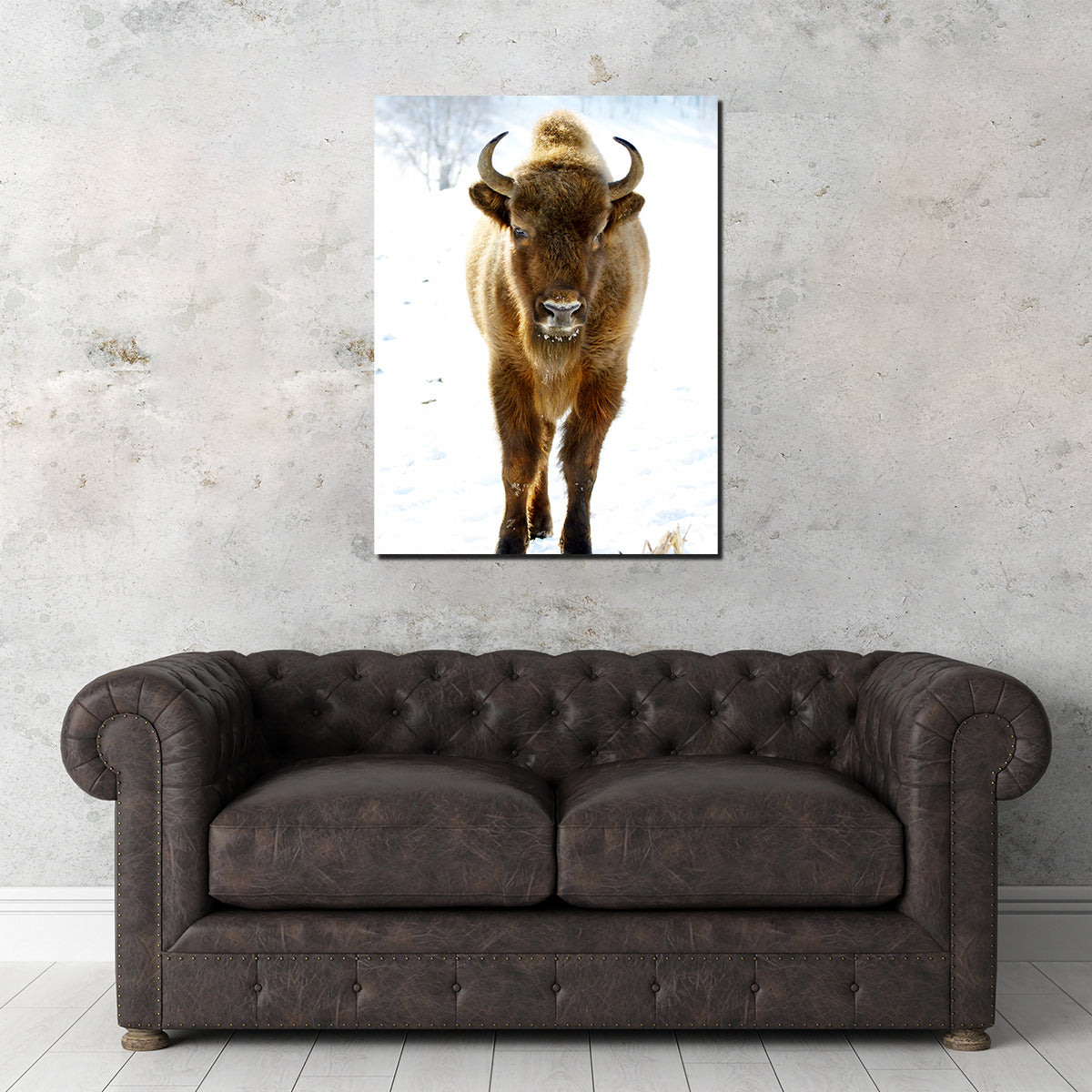 Exquisite European Bison Wall Art for Home Decor