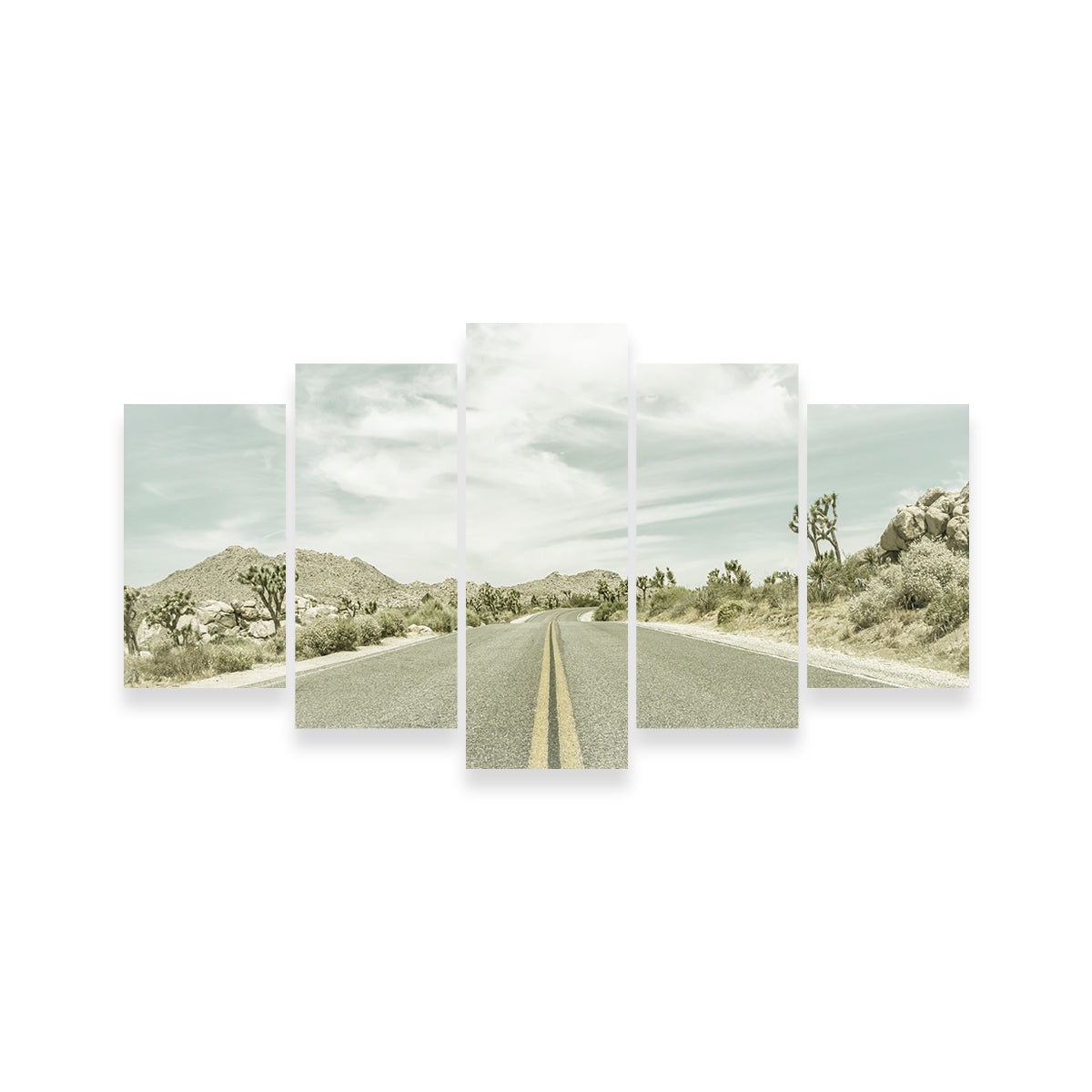 Stunning Joshua Trees Park Boulevard Wall Art by Melanie Viola