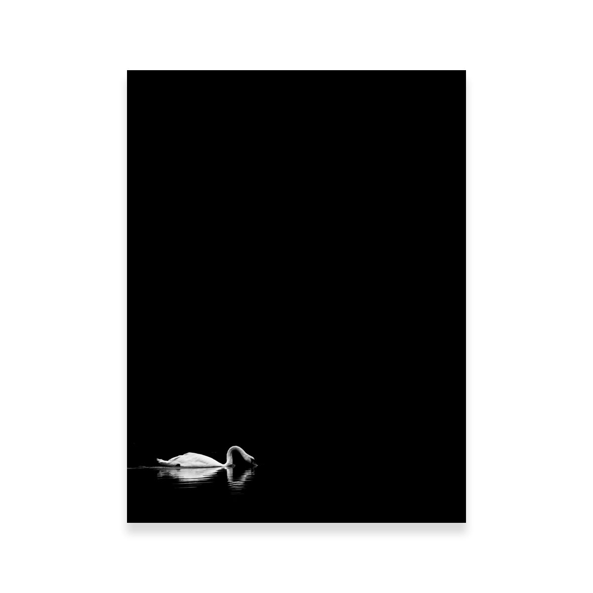 Exquisite Swan Lake 2 Wall Art by Dennis Maida