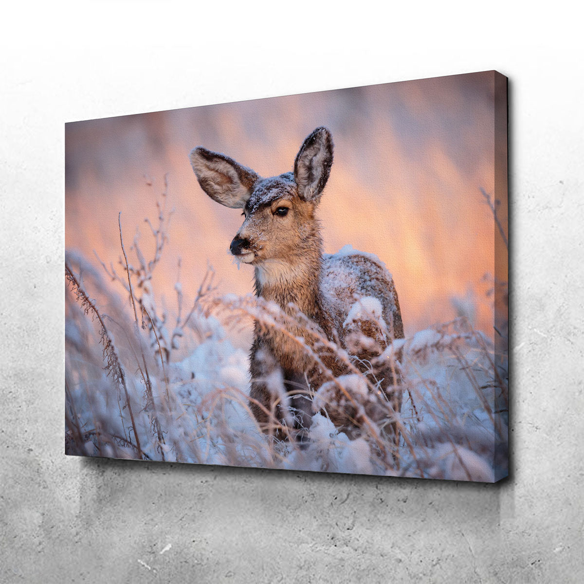 Stunning Colorado Doe Wall Art for Your Home Decor