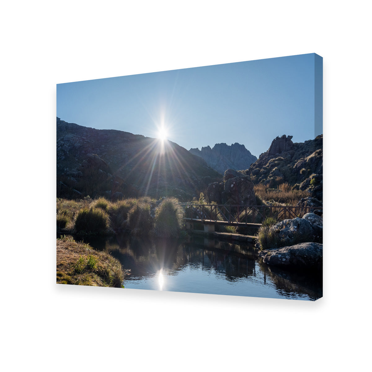 Morning Scenery of Itatiaia National Park, Brazil Wall Art by Sofia Leite Fonseca