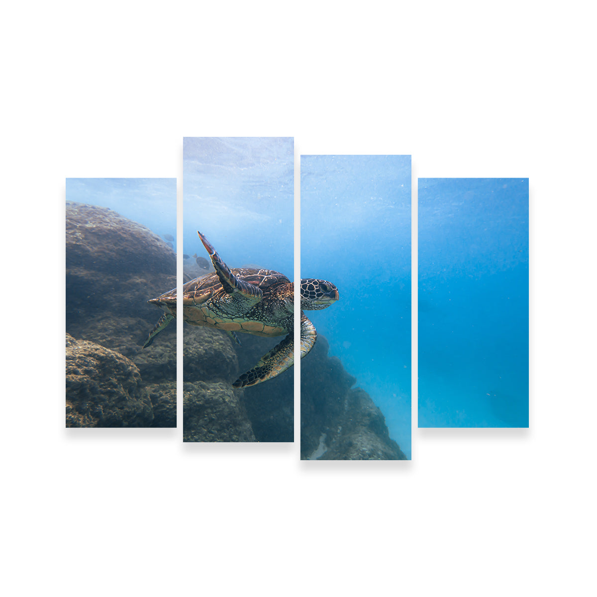 Stunning Turtle Wave Wall Art by Lucas Moore