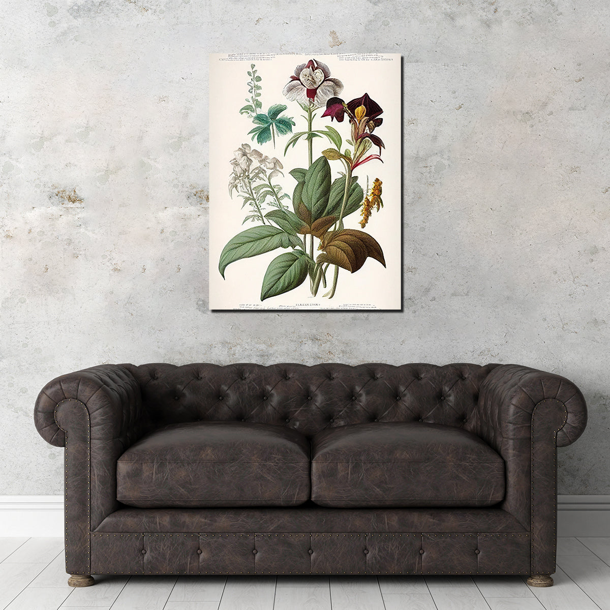 Exquisite Vintage Botanical Print Series 3 Wall Art for Stunning Decor
