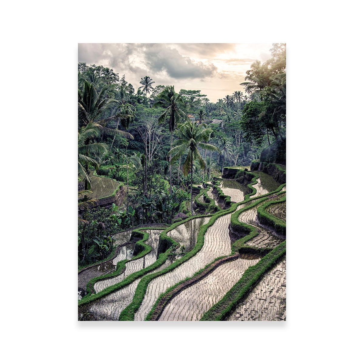 Stunning Ubud Countryside Wall Art for Your Home Decor