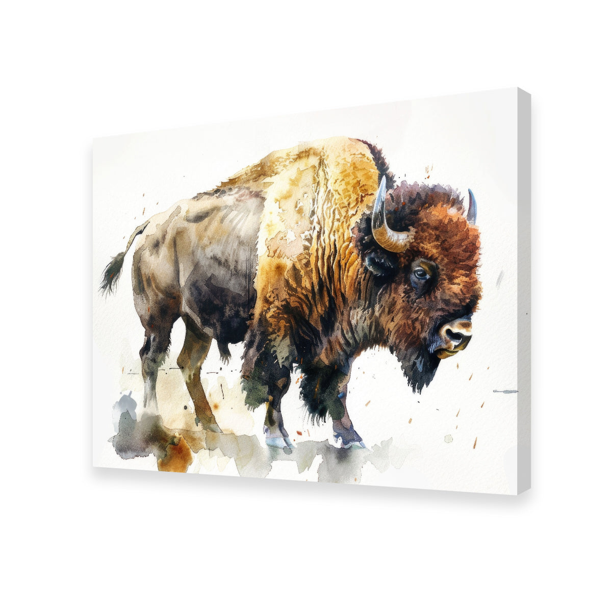Exquisite Buffalo on White Wall Art - Ideal for Home Decor