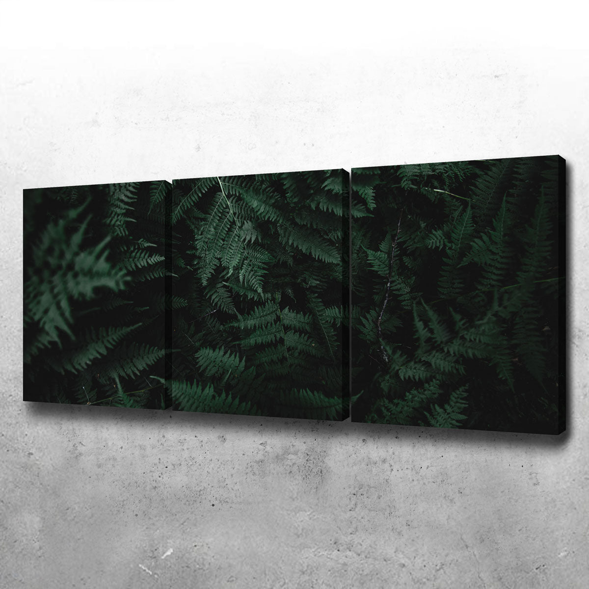 Stunning Ferns Wall Art by Lucas Moore