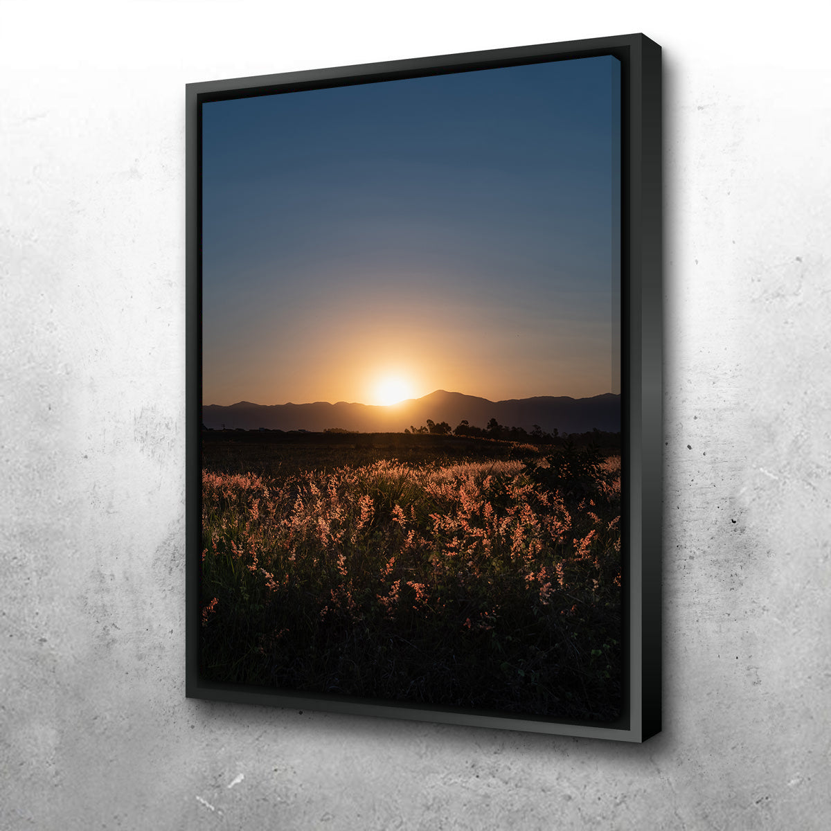 Stunning Sunset Over A Field of Flowers Wall Art by Sofia Leite Fonseca