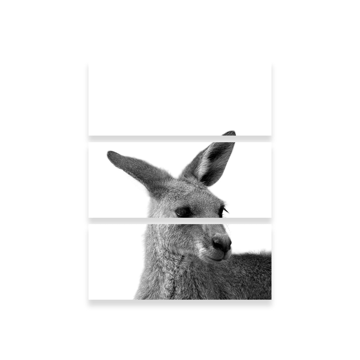 Stunning Kangaroo Wall Art by Lawisi