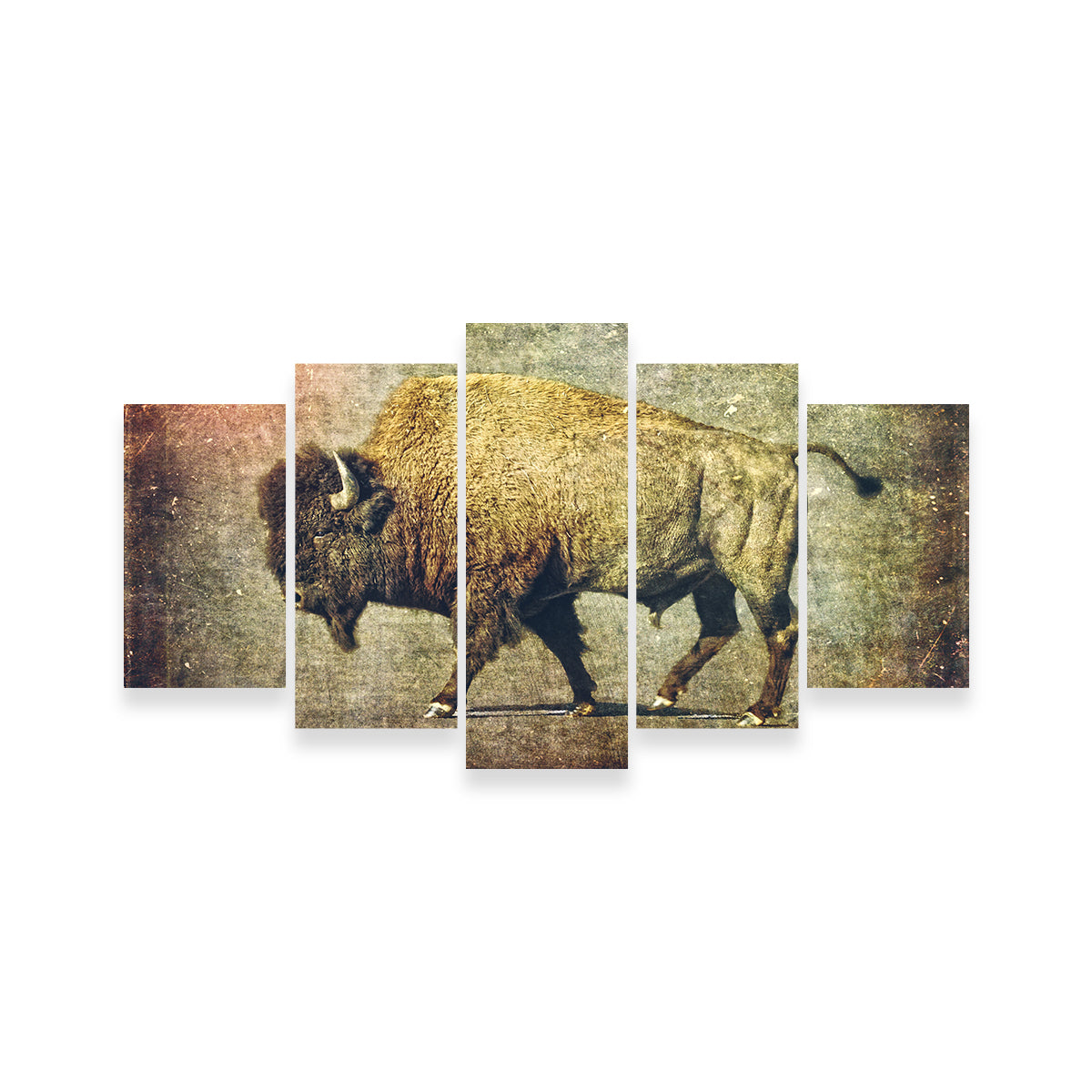Exquisite Buffalo Art Wall Art for Home Decor