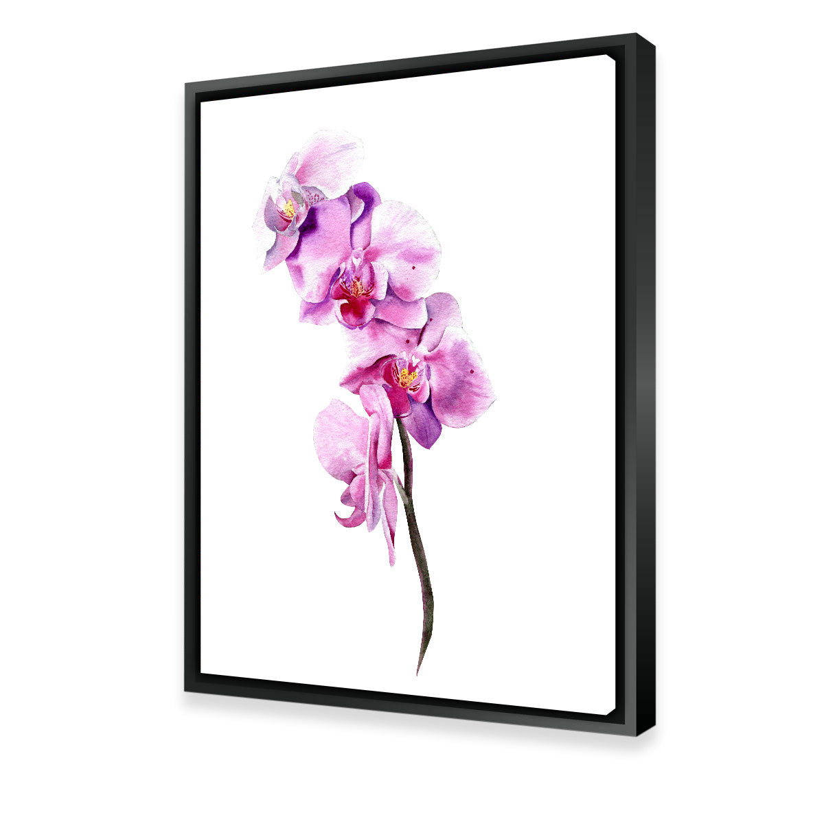 Exquisite Watercolor Orchid Wall Art for Home Decor