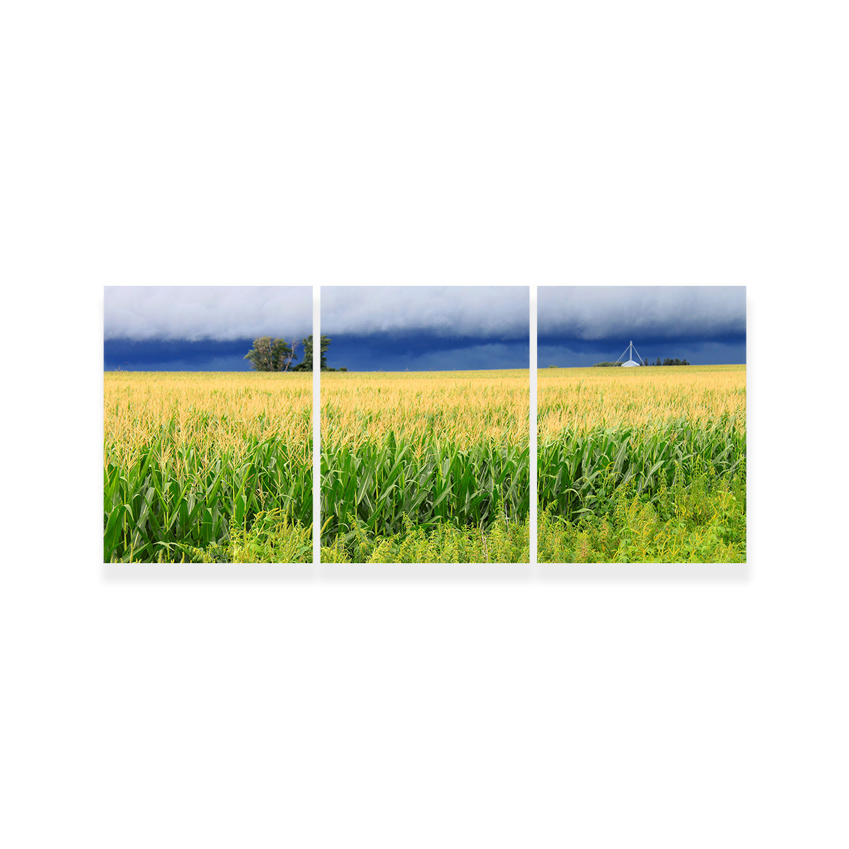 Stunning Thunderstorm Over Illinois Cornfield Wall Art for Home Decor