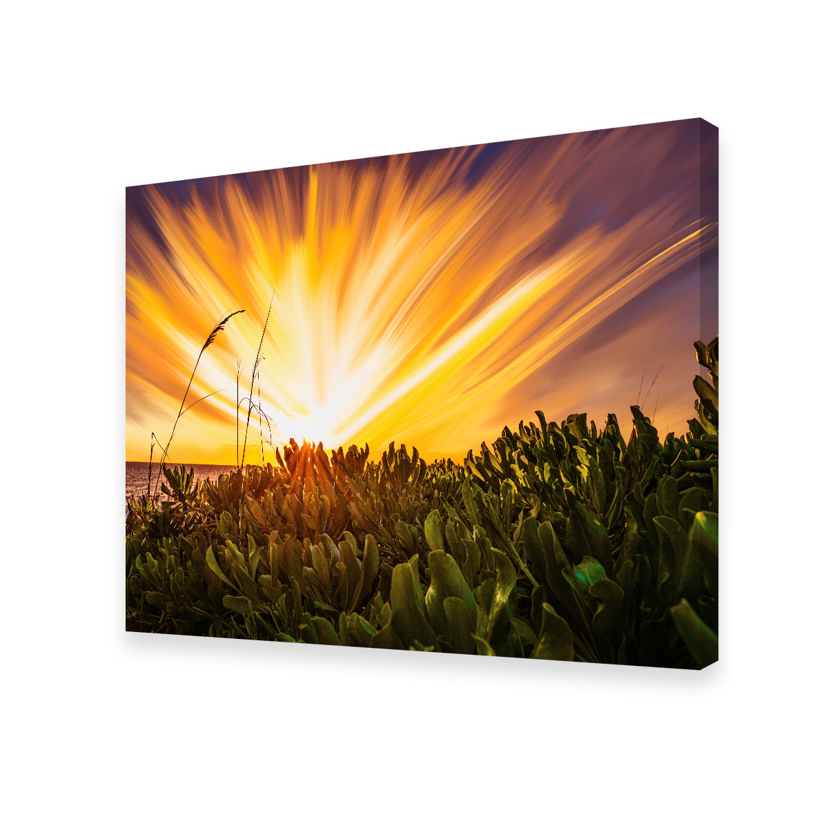 Stunning Exploding Sunset Wall Art by Eileen Rollin