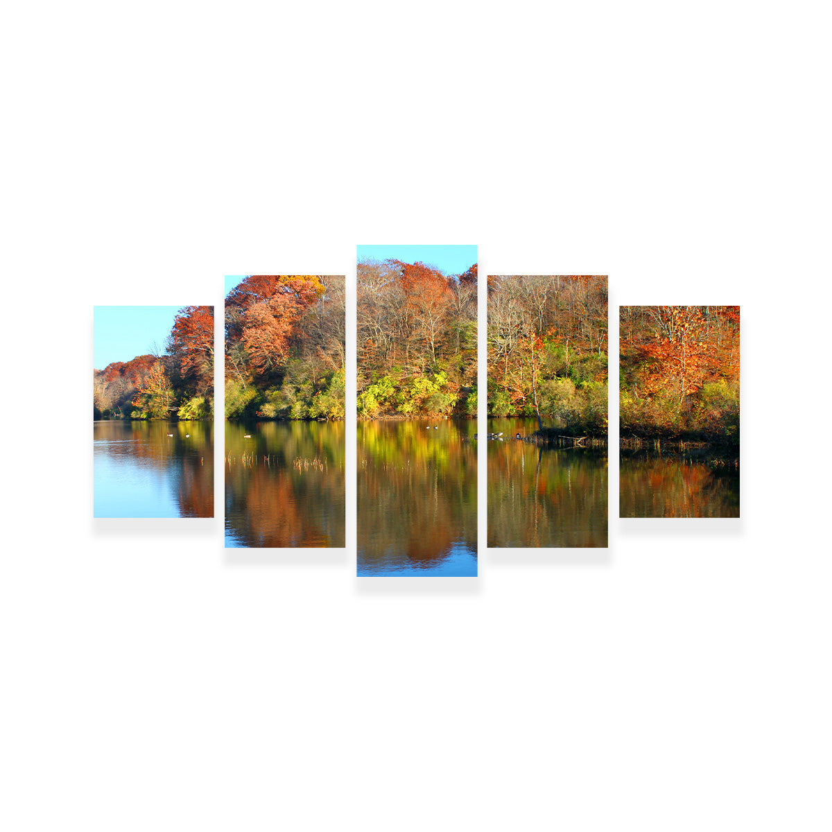 Stunning Kickapoo State Park Wall Art for Your Home Decor