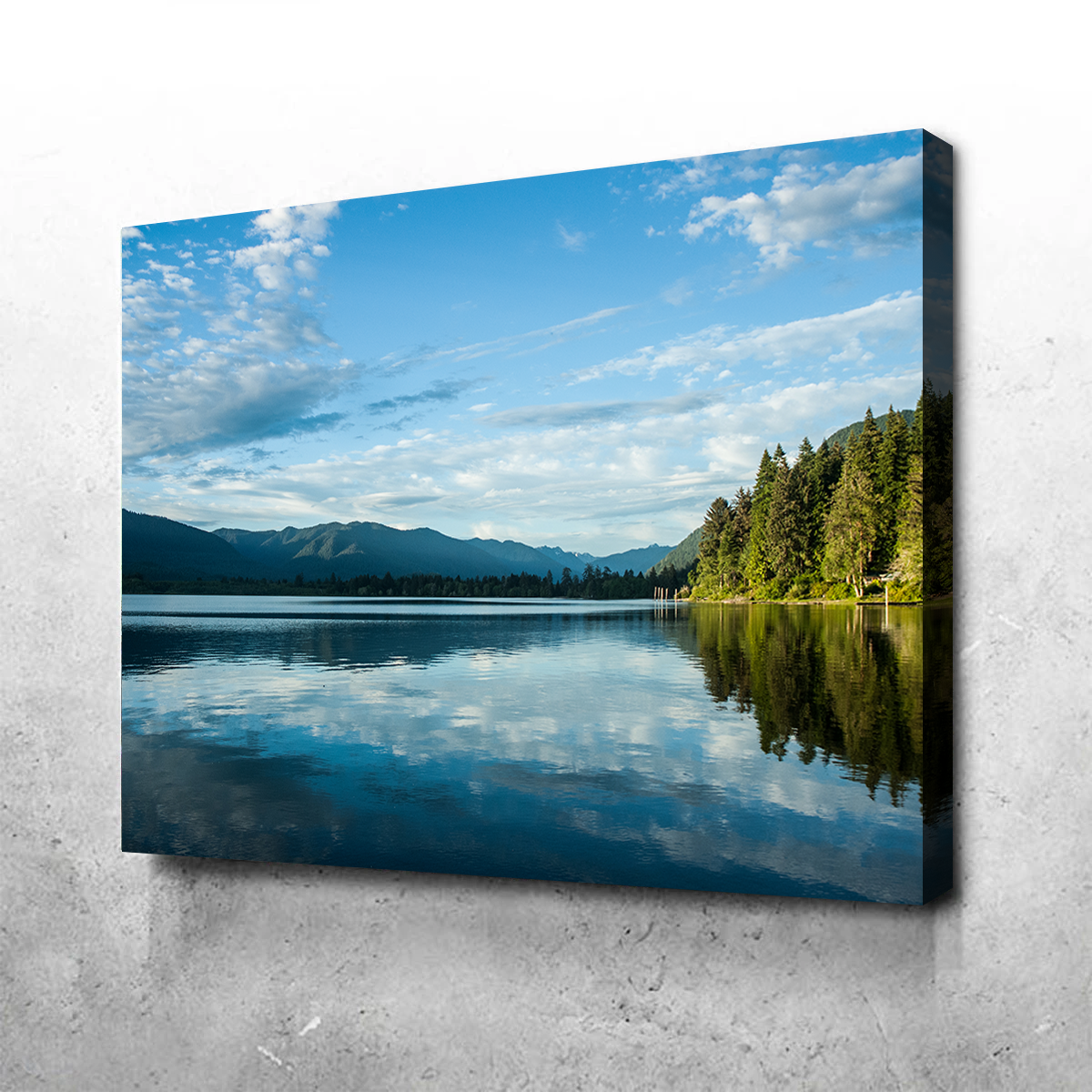 Stunning Lake Quinault Wall Art by Kyle Sherry