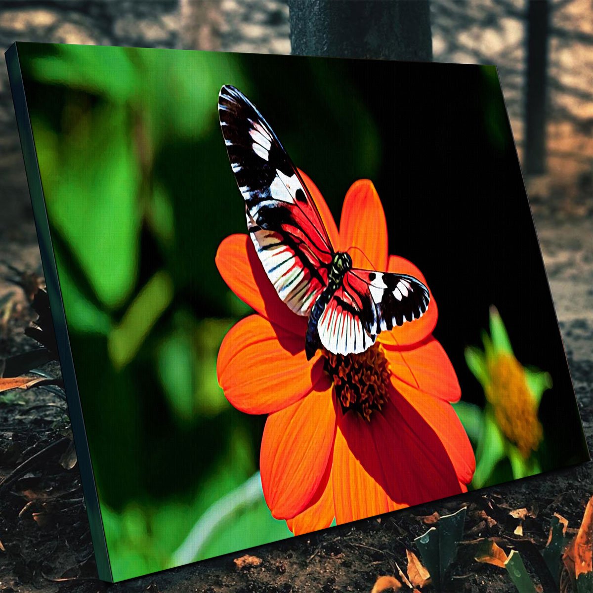 Stunning Vibrant Butterfly Wall Art for Striking Home Decor