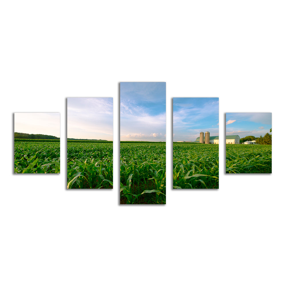 Exquisite Wisconsin Dairy Farm Against Corn Field Wall Art