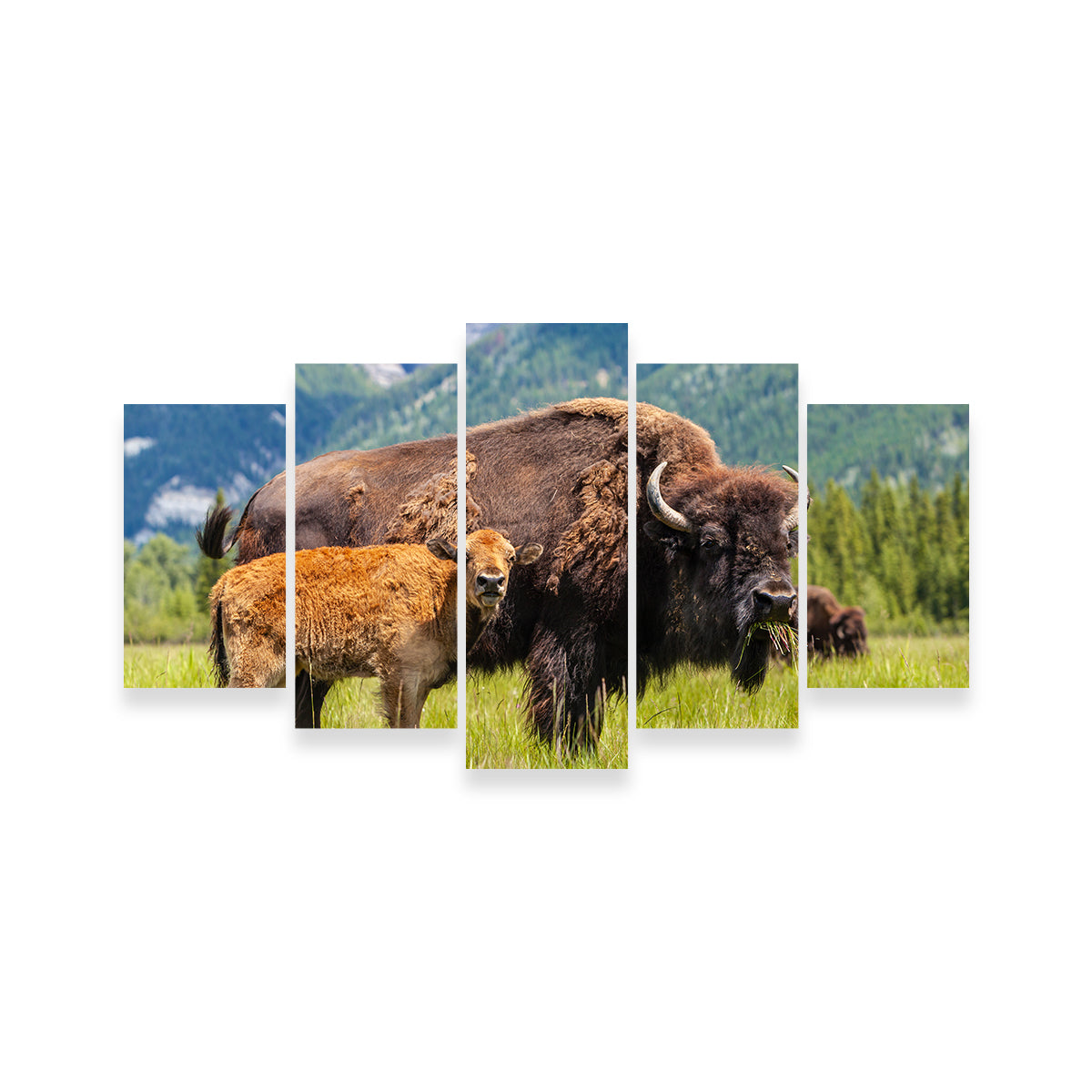 Stunning Buffalo with Calf Wall Art for Your Home Decor