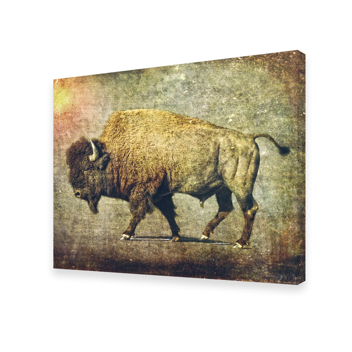 Exquisite Buffalo Art Wall Art for Home Decor