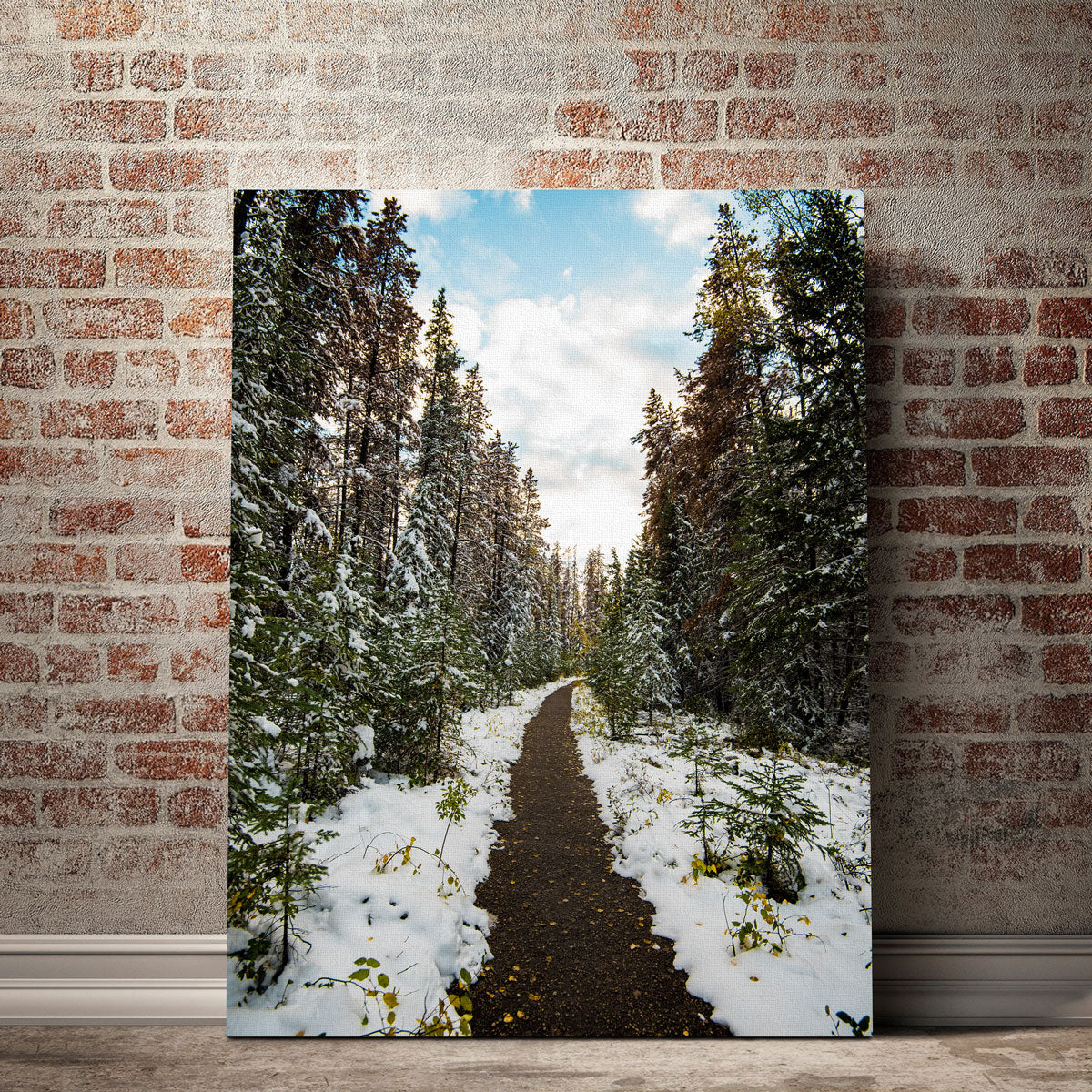 Stunning Winter Path Wall Art by Lucas Moore