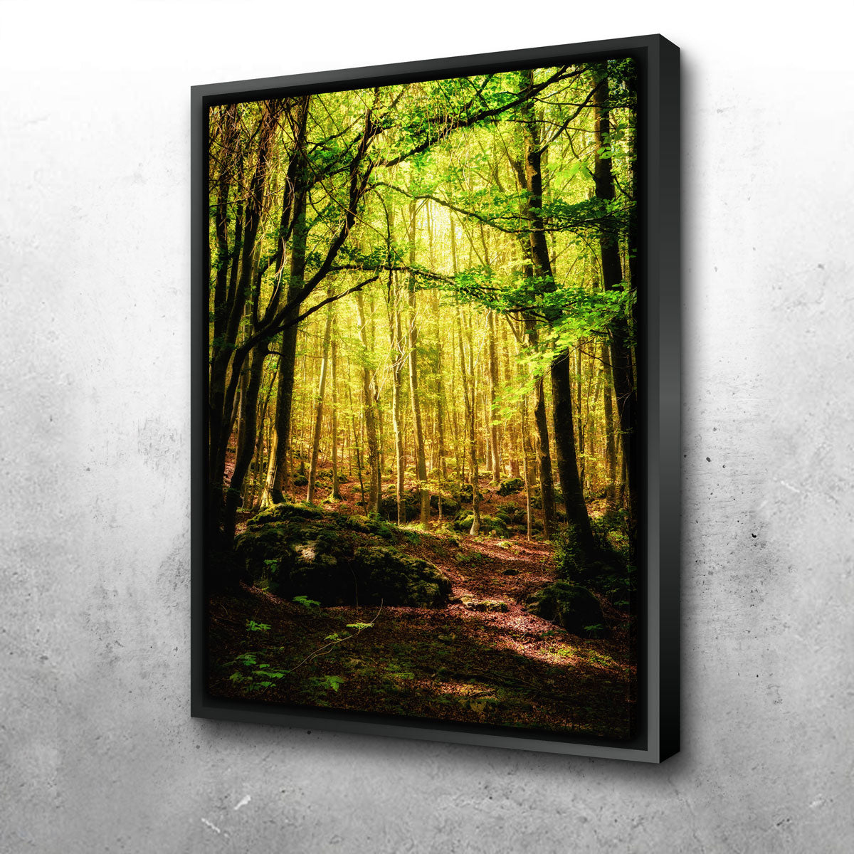 Enchanting Forest Vol. 1 Stunning Wall Art by Stefano Baltieri